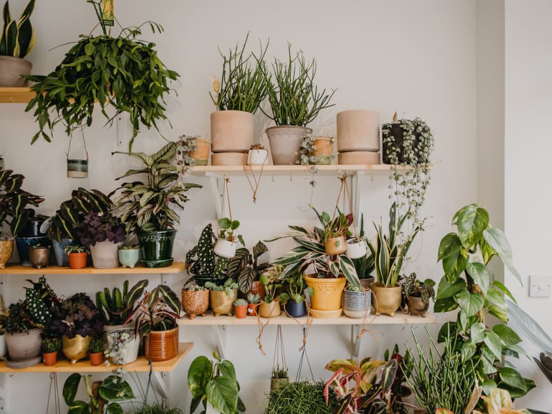 Gardening classes